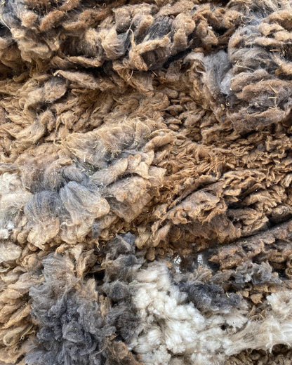 Merino wool, freshly sheared at a fiber focused community event, June 2024. 